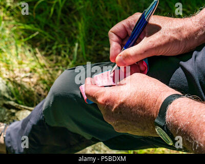 Nahaufnahme der Hand des Menschen Schreiben mit einem Stift einen Geocache Logbuch in einem Holz, Schottland, UK zu unterzeichnen Stockfoto