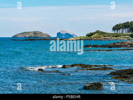 Rocky Shore an einem sonnigen Tag Sommer mit Craigleith Insel und Bass Rock weiß mit basstölpel in der Ferne, Erhabene, Schottland, Großbritannien Stockfoto