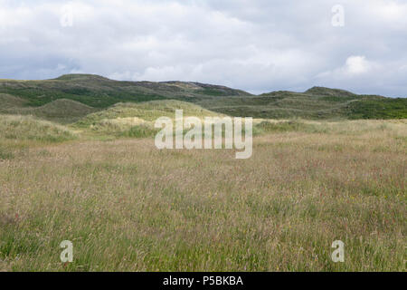 Sheskinmore Nature Reserve ist ein verstecktes Juwel in der Grafschaft Donegal in Irland bezeichnet einen geschützten Naturschutzgebiet Stockfoto