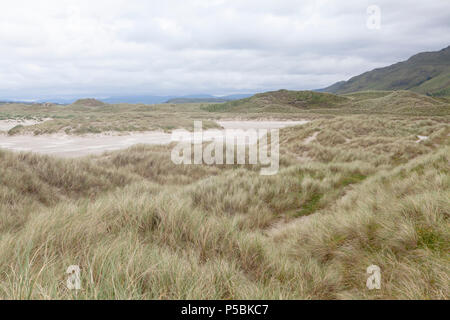 Sheskinmore Nature Reserve ist ein verstecktes Juwel in der Grafschaft Donegal in Irland bezeichnet einen geschützten Naturschutzgebiet Stockfoto