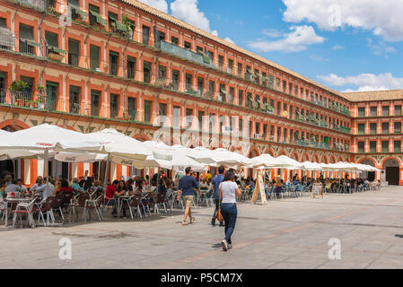 Plaza Corredera Café, Blick auf Cafés in der Plaza de la Corredera im Zentrum der Altstadt von Cordoba an einem Sommernachmittag, Cordova, Andalusien, Spanien. Stockfoto