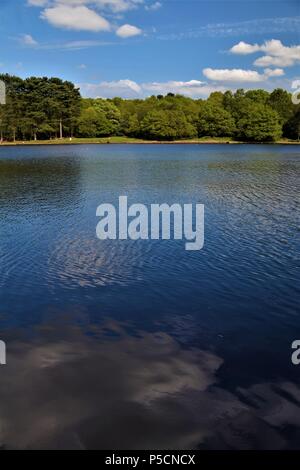 Seeblick Reflexionen blue sky Vegetation Stockfoto