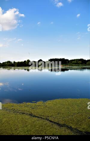 Seeblick Reflexionen blue sky Vegetation Stockfoto