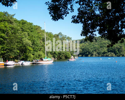 Anse de Sordan auf der Lac Fourneau, Bretagne Stockfoto