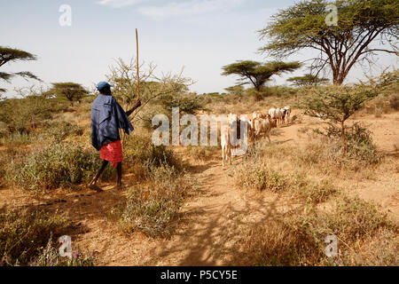 Ziege Hirten in der Ausgetrockneten Landschaft der provinziellen Stadt Isiolo. Seit Jahren Norden Kenias vor allem aus dem Mangel an Wasser leiden. Stockfoto