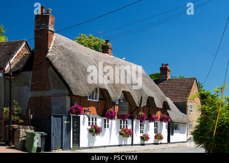 The Plough Inn On Church Street, West Hanney, Wantage, Oxfordshire, Großbritannien mit einer herrlichen Blütenpracht in blumenampeln an einem hellen Sommertag, Stockfoto