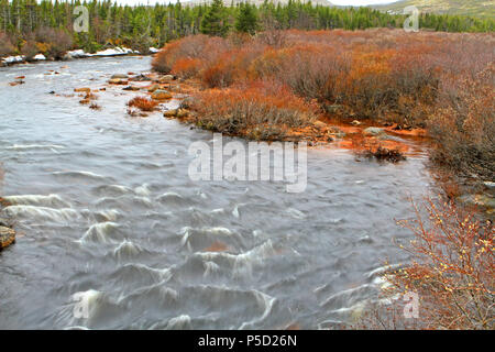 Pinware River. Entlang Labrador Küstenstrecke510N, Trans Labrador Highway, Neufundland, Labrador, Kanada Stockfoto