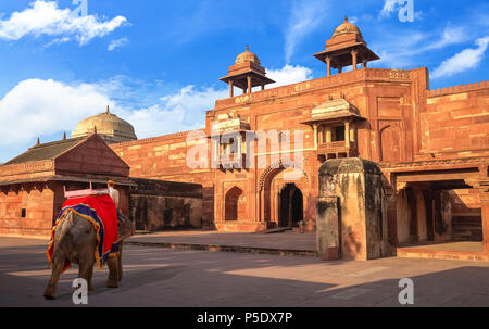 Dekorierte Indische Elefanten an der historischen Royal Palace Eingang in Fatehpur Sikri Agra, Indien. Stockfoto