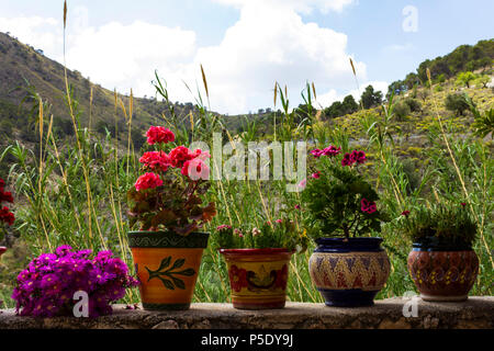 Bemalte Keramik Blumentöpfe, Mehrfarbig mit Blumen Stockfoto