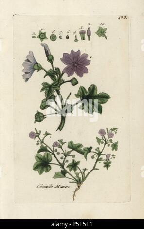 Gemeinsame malve Malva Sylvestris. Papierkörbe botanischen ausgearbeitet und von Pierre Bulliard aus seinem eigenen 'Flora Parisiensis graviert", 1776, Paris, S. F. Didot. Pierre Bulliard (1752-1793) war ein berühmter französischer Botaniker die drei-Farben-platte Drucktechnik. Seine Einführung in die Blüten der Pariser 640 Pflanzen. Stockfoto