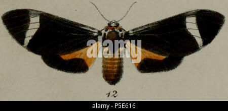 N/A. Latina: Amerila syntomina (Butler, 1878). 1887. Herbert Druce (1846-1913) In: LV-Platte (die Platte 55) Verfahren der Zoologischen Gesellschaft, London, 1887 - Hr. H Druce auf neue Arten von Lepidoptera aus dem tropischen Afrika 15 12 - Anace herpa=Amerila syntomina (Butler, 1878) Stockfoto