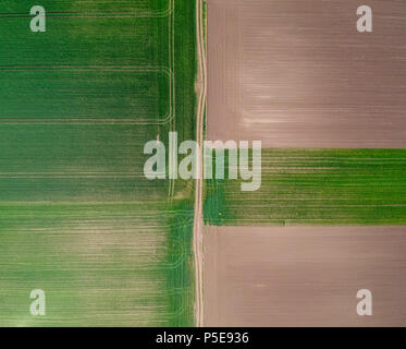 Luftaufnahme von Grünem landwirtschaftliche Felder im Frühling Stockfoto