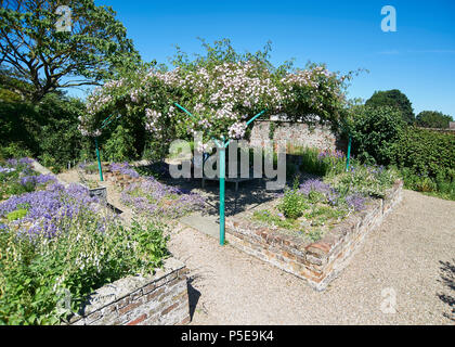 Teil der Nationalen Sammlung von Glockenblumen bei Burton Agnes Hall, East Riding von Yorkshire, England, UK, GB. Stockfoto