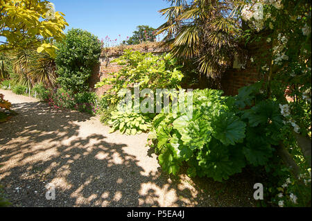 Dschungel Garten Teil der ummauerten Gärten bei Burton Agnes Hall im East Riding von Yorkshire, England, UK, GB. Stockfoto