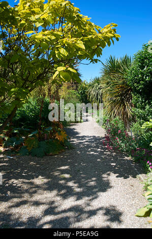 Dschungel Garten Teil der ummauerten Gärten bei Burton Agnes Hall im East Riding von Yorkshire, England, UK, GB. Stockfoto