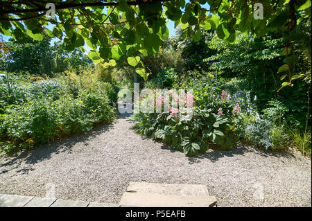 Dschungel Garten Teil der ummauerten Gärten bei Burton Agnes Hall im East Riding von Yorkshire, England, UK, GB. Stockfoto