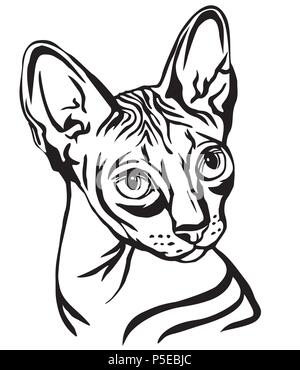 Dekorative Portrait im Profil von Sphynx Cat, Vektor isoliert Abbildung in schwarz auf weißem Hintergrund Stock Vektor