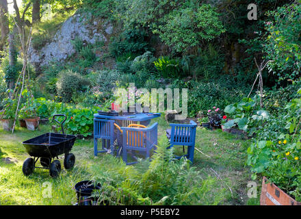 Blick auf Pflanzen wachsen in einem kleinen Hinterhof Land Hinterhof Im Juni Sommer Vintage Gartenmöbel Tisch Stühle Wagon Wales UK KATHY DEWITT Stockfoto