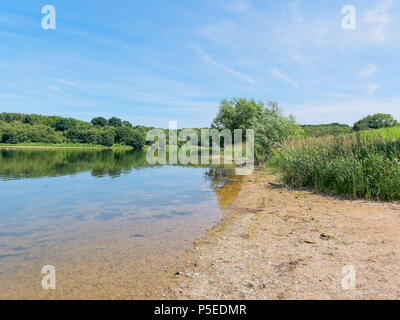 Stehend auf den Ufern von Staunton Harold Reservoir, in Derbyshire, klares ruhiges Wasser spiegelt die surroundng Landschaft. Stockfoto