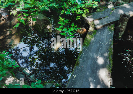 Kleine hölzerne Brücke über Stream im japanischen Garten. Stockfoto