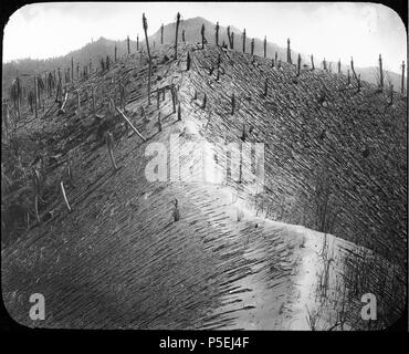 Staub bedeckt Ridge der Bunker Hill, Richmond Estate. Staub bedeckt, mit hervorstehenden Baumstümpfen. Die Palmen haben durch heiße Glutlawinen aus Soufriere Volcano verwüstet worden. Gully Erosion der Asche.. 1902. N/A487 Staub Ridge der Bunker Hill, Richmond estate YORYM-TA 0006 Stockfoto