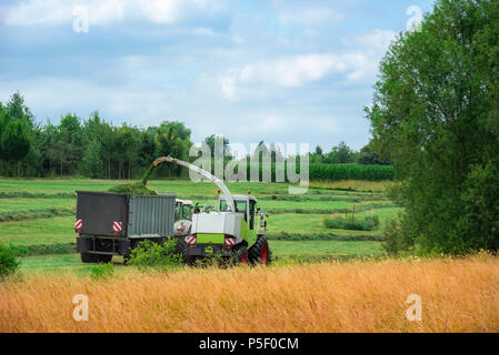 Landwirtschaftliche Tätigkeit mit einem selbstfahrenden Feldhäcksler Maschinen, Ernten von Gras und Laden eines Anhängers, in Baden-wuerttemberg Region, Deutschland. Stockfoto