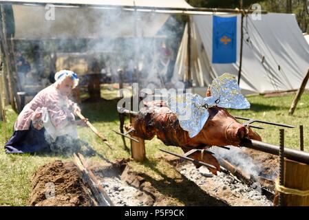 Kostümierte Re-enactors außen Zelt, langsam Braten ein ganzes Schwein im Freien über einem Lagerfeuer an der blutigen See Rendezvous, Woodford, WI, USA Stockfoto