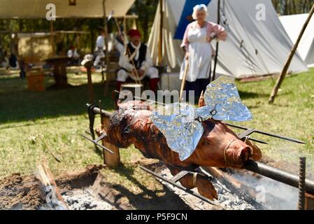 Kostümierte Re-enactors außen Zelt, langsam Braten ein ganzes Schwein im Freien über einem Lagerfeuer an der blutigen See Rendezvous, Woodford, WI, USA Stockfoto