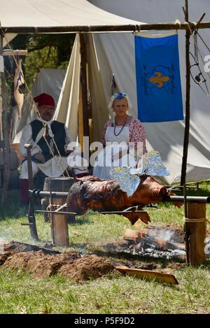 Kostümierte Re-enactors außen Zelt, langsam Braten ein ganzes Schwein im Freien über einem Lagerfeuer an der blutigen See Rendezvous, Woodford, WI, USA Stockfoto