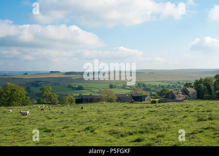 Baldersdale, Balder Valley, Großbritannien Stockfoto