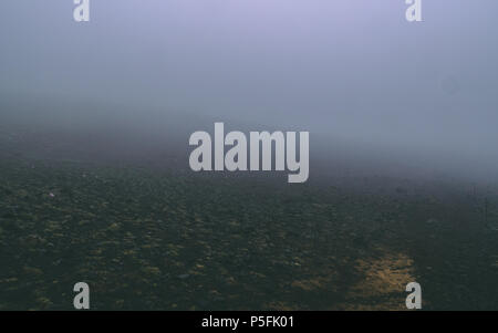 Ländliche Landschaft in Island im Nebel schwarz Sand bedeckt Stockfoto