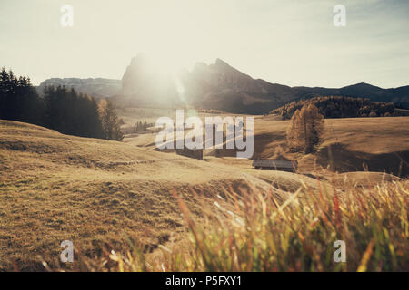 Schöne Sicht der traditionellen Holz- Mountain Chalets an der malerischen Seiser Alm mit berühmten langkofel Bergspitzen im Hintergrund in Golden Morning Stockfoto