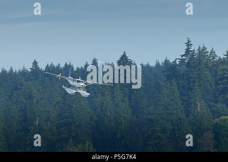 Seair Wasserflugzeuge Cessna 208 Caravan Wasserflugzeug nähert sich der Flughafen Hafen von Vancouver, British Columbia, Kanada. Stockfoto