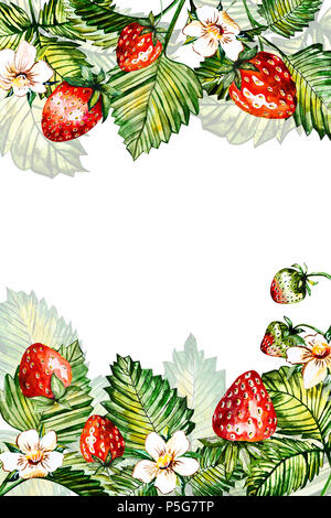 Aquarell floral background mit Erdbeeren. Sommer Karte mit kopieren. Rahmen mit Aquarell Erdbeeren. Hand gemalten Hintergrund Stockfoto