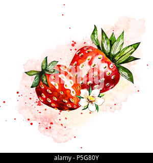 Hand Aquarellmalerei Erdbeere auf weißem Hintergrund dargestellt. Abbildung von Beeren. Aquarell floral background mit Erdbeeren. Sommer Card. Stockfoto