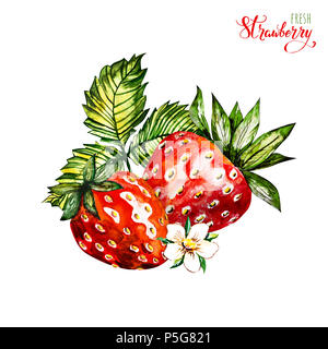 Hand Aquarellmalerei Erdbeere auf weißem Hintergrund dargestellt. Abbildung von Beeren. Aquarell floral background mit Erdbeeren. Sommer Card. Stockfoto
