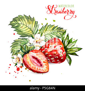 Hand Aquarellmalerei Erdbeere auf weißem Hintergrund dargestellt. Abbildung von Beeren. Aquarell floral background mit Erdbeeren. Sommer Card. Stockfoto