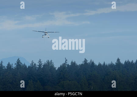 Seair Wasserflugzeuge Cessna 208 Caravan Wasserflugzeug nähert sich der Flughafen Hafen von Vancouver, British Columbia, Kanada. Stockfoto