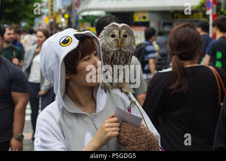 Frau in eine Eule Kostüm und eine Eule auf der Schulter Förderung eine Eule cafe in Akihabara, Tokio Stockfoto