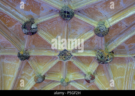 N/A. Englisch: Klöster - Lacock Abbey - Wiltshire, England. 26 Mai 2016, 10:32:19. Daderot 354 Klöster - Lacock Abbey - Wiltshire, England - DSC 00842 Stockfoto