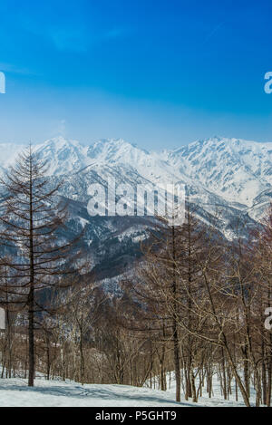 Hakuba Ridge im Frühjahr. Berühmt ist der Austragungsort für die Olympischen Winterspiele in Nagano. Dieser Bereich ist sehr beliebt als Skigebiet für Ausländer. Stockfoto