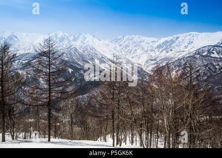 Hakuba Ridge im Frühjahr. Berühmt ist der Austragungsort für die Olympischen Winterspiele in Nagano. Dieser Bereich ist sehr beliebt als Skigebiet für Ausländer. Stockfoto