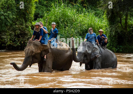 Menschen reiten Asiatischen Elefanten (Elephas maximus) im Fluss, Thai Elephant Home Elephant Farm, Keudchang Maetang, Chiang Mai, Thailand Stockfoto