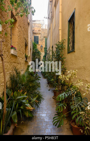 Pflanzen in Töpfe Linie eine schmale Gasse in der Altstadt von Victoria, Gozo, Malta. Stockfoto