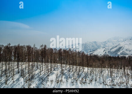 Hakuba Ridge im Frühjahr. Berühmt ist der Austragungsort für die Olympischen Winterspiele in Nagano. Dieser Bereich ist sehr beliebt als Skigebiet für Ausländer. Stockfoto