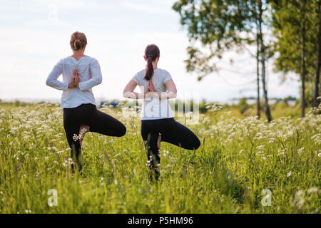 Zwei Frauen le Yoga Übungen, auf einem Bein stehen, draußen in der Natur Park. Stockfoto