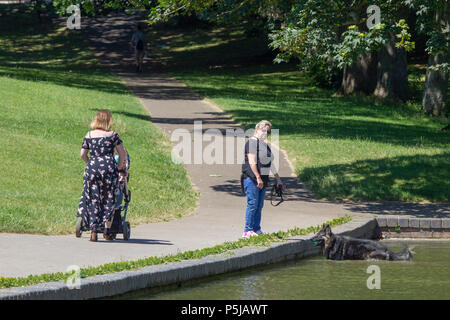 Northampton. UK. 27.Juni 2018. Wetter. Leute genießen das Wetter an einem heißen sonnigen Nachmittag in Abington Park,. Credit: Keith J Smith./Alamy leben Nachrichten Stockfoto