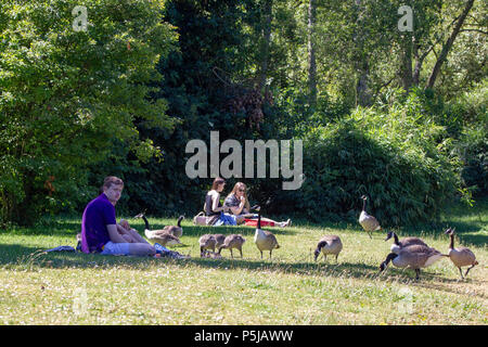 Northampton. UK. 27.Juni 2018. Wetter. Leute genießen das Wetter an einem heißen sonnigen Nachmittag in Abington Park,. Credit: Keith J Smith./Alamy leben Nachrichten Stockfoto