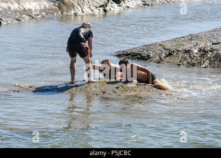 Kinder spielen in den Bach bei Leigh-on-Sea, Essex bei Ebbe. Schlamm Banken Stockfoto