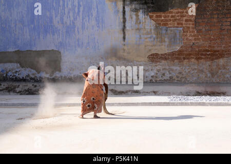 Frau fegt im Innenhof eines alten kolonialen Gebäude verwendet in Ingwer zu handeln. Basar Straße, Kochi, Kerala, Indien. Stockfoto